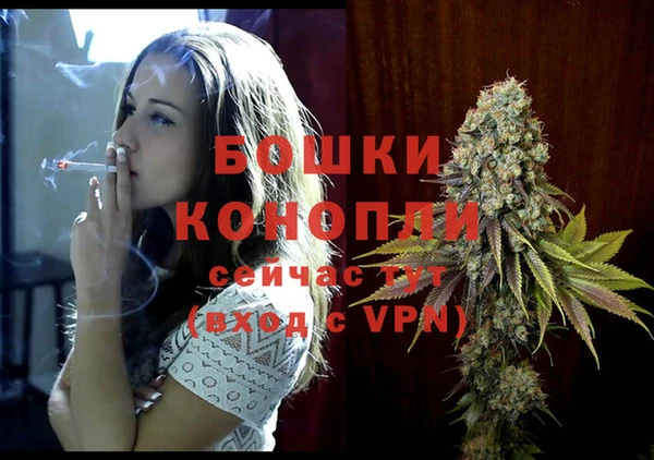 не бодяженный Ельня