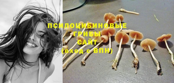 не бодяженный Ельня