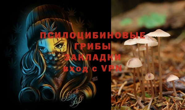 не бодяженный Ельня