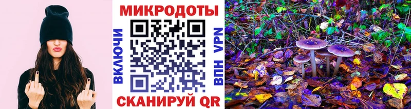 ОМГ ОМГ ССЫЛКА наркотики Севск Псилоцибиновые грибы прущие грибы