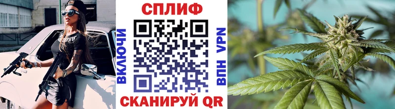 Конопля сатива  купить  сайты  Севск 